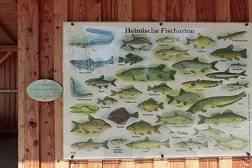 Fischereilehrhütte Monheim