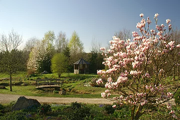 Waldpark Huisheim