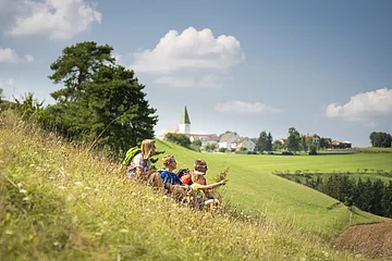 Unterwegs in der Monheimer Alb mit Blick auf Rögling