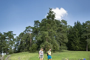 Unterwegs im Röglinger Tal